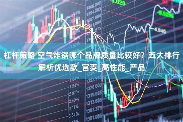 杠杆策略 空气炸锅哪个品牌质量比较好？五大排行解析优选款_宫菱_高性能_产品