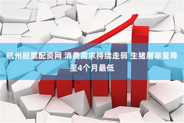 杭州股票配资网 消费需求持续走弱 生猪屠宰量降至4个月最低
