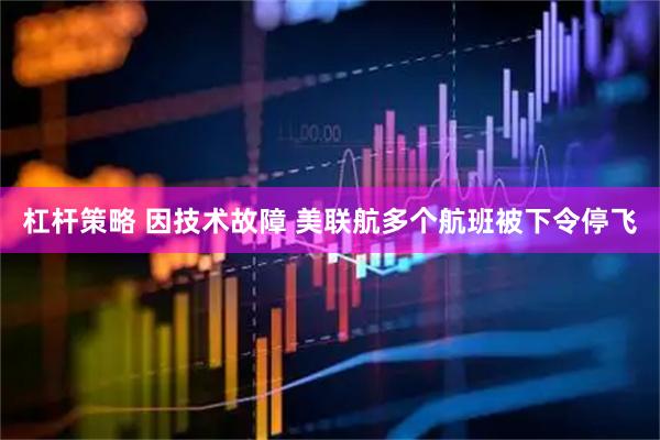 杠杆策略 因技术故障 美联航多个航班被下令停飞