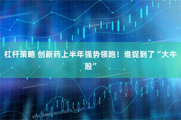 杠杆策略 创新药上半年强势领跑！谁捉到了“大牛股”