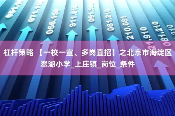 杠杆策略 【一校一宣、多岗直招】之北京市海淀区翠湖小学_上庄镇_岗位_条件