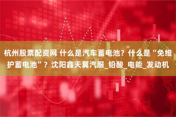 杭州股票配资网 什么是汽车蓄电池？什么是“免维护蓄电池”？沈阳鑫天翼汽服_铅酸_电能_发动机
